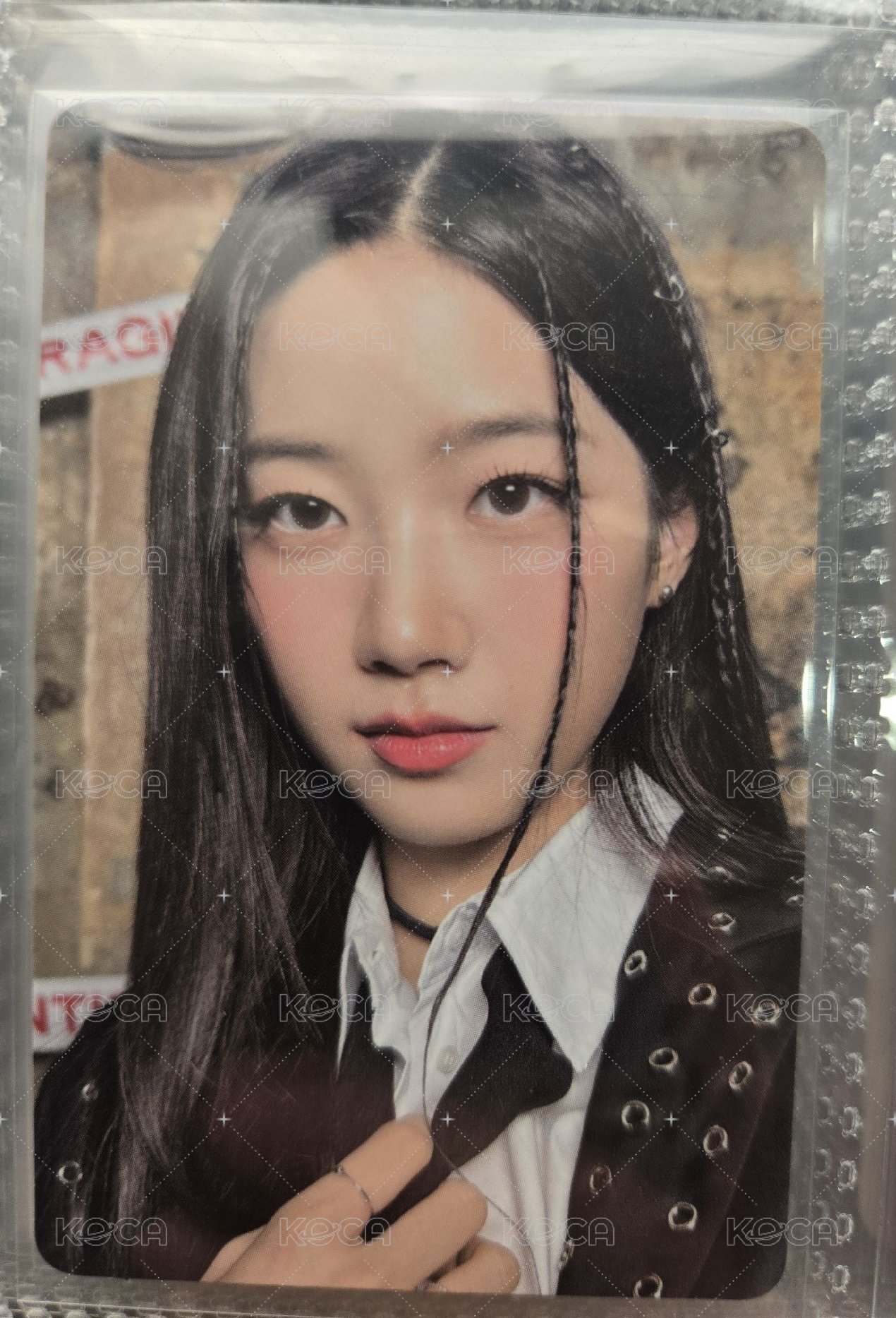 迷二專卡葉
