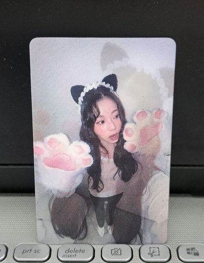 數星星 喵喵拳圭 變化卡