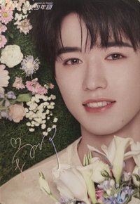 25‘肯德基 春日 明信片 