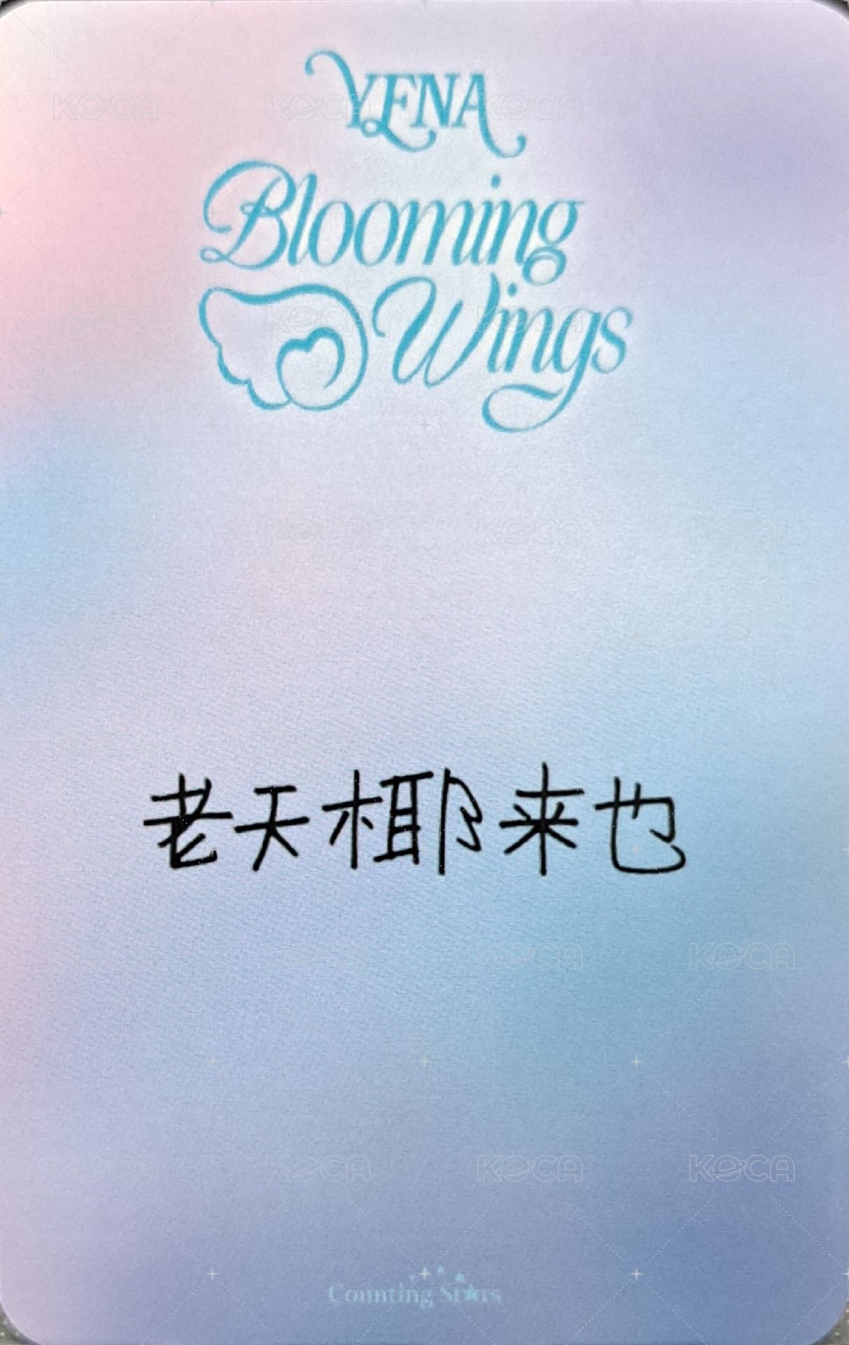 迷四 數星星 上海線下 簽售卡 髮圈 背面
