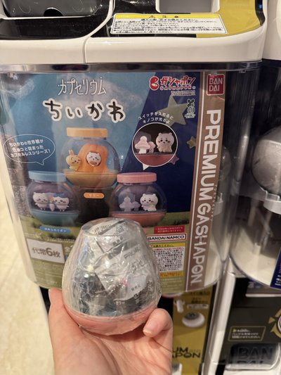 chiikawa 吉伊卡哇 吉伊採集 立體球型 公仔