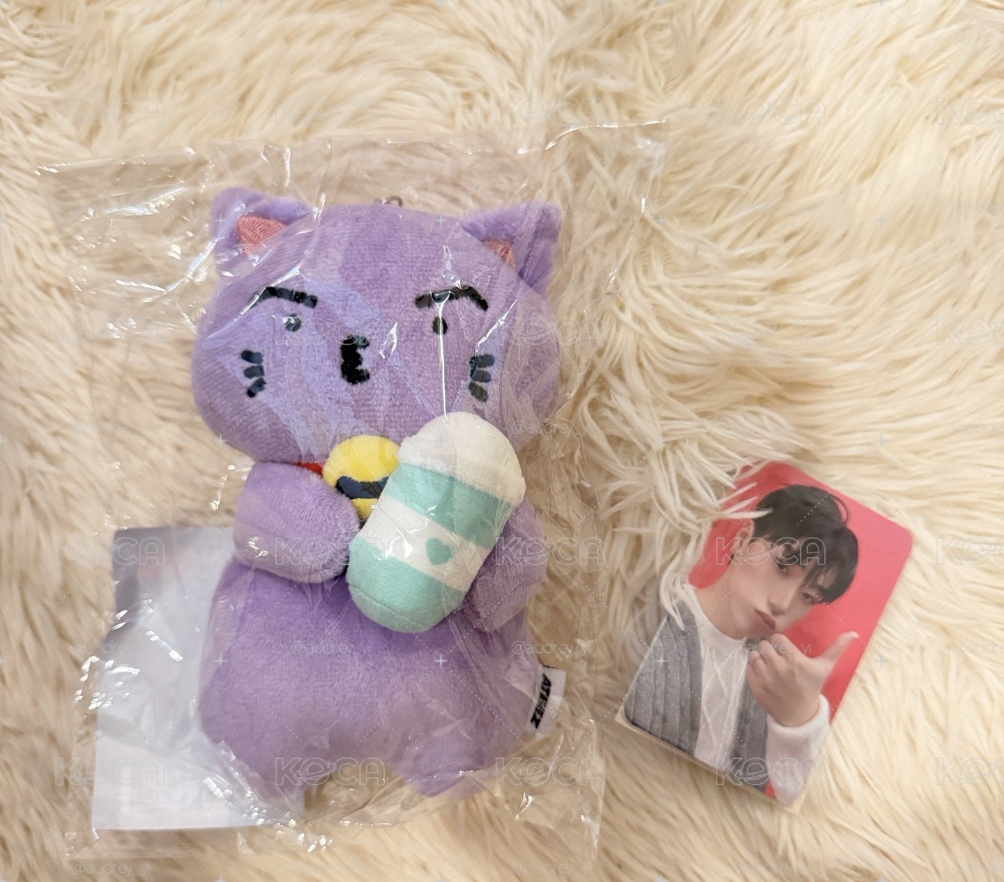 未拆全新亞巡杯套+小卡San 