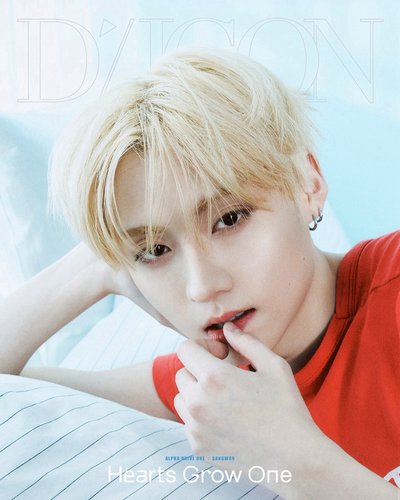 D社 B-TYPE 雜誌 、D社 A-TYPE 雜誌 