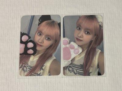 仲夏夜 SW3.0 LD 黑+白貓