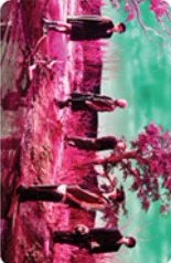 迷八 am pb版 特典卡 