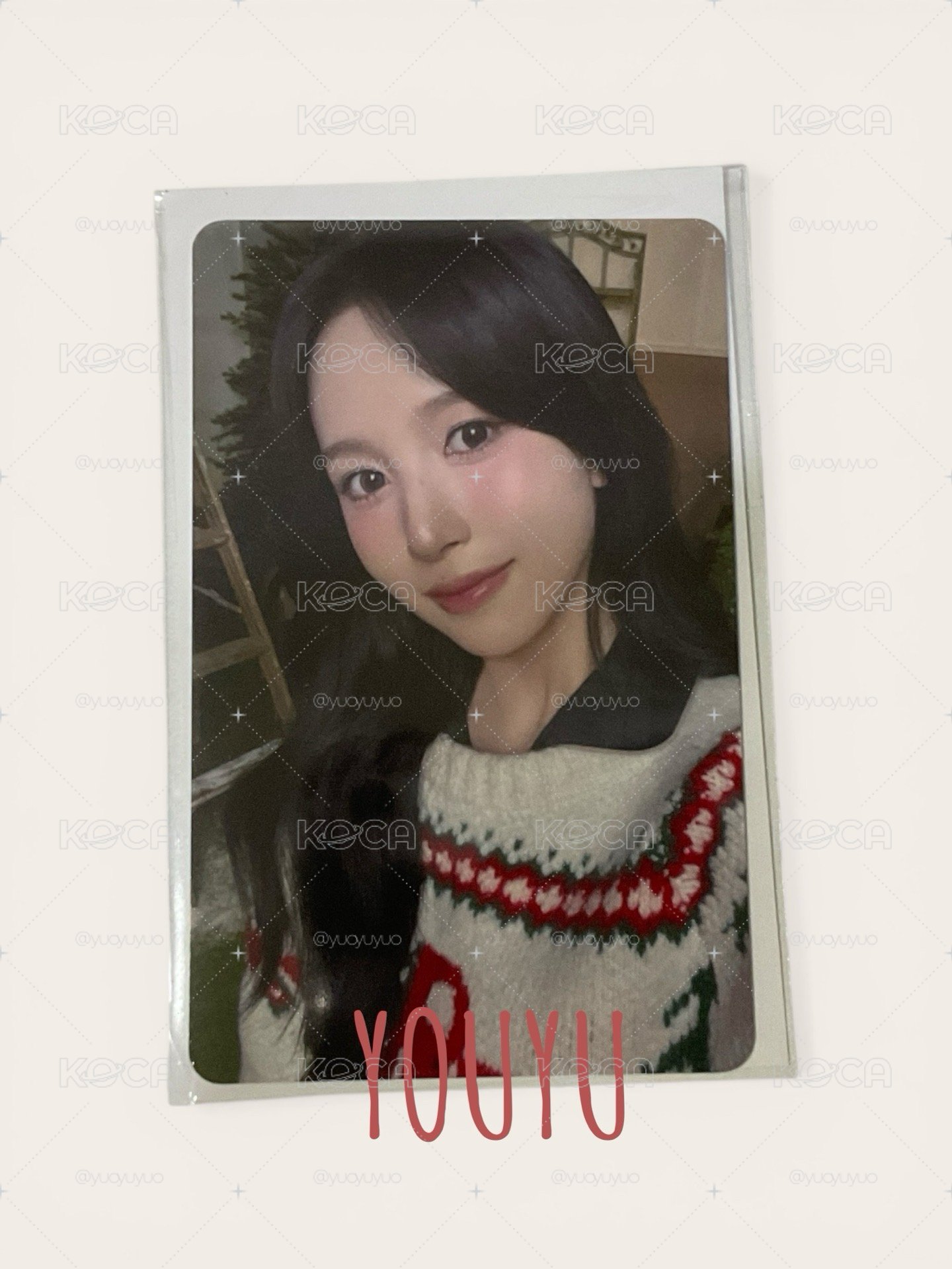 ✨現貨 MINA 冬日快閃週邊 滿額卡 全新未拆
