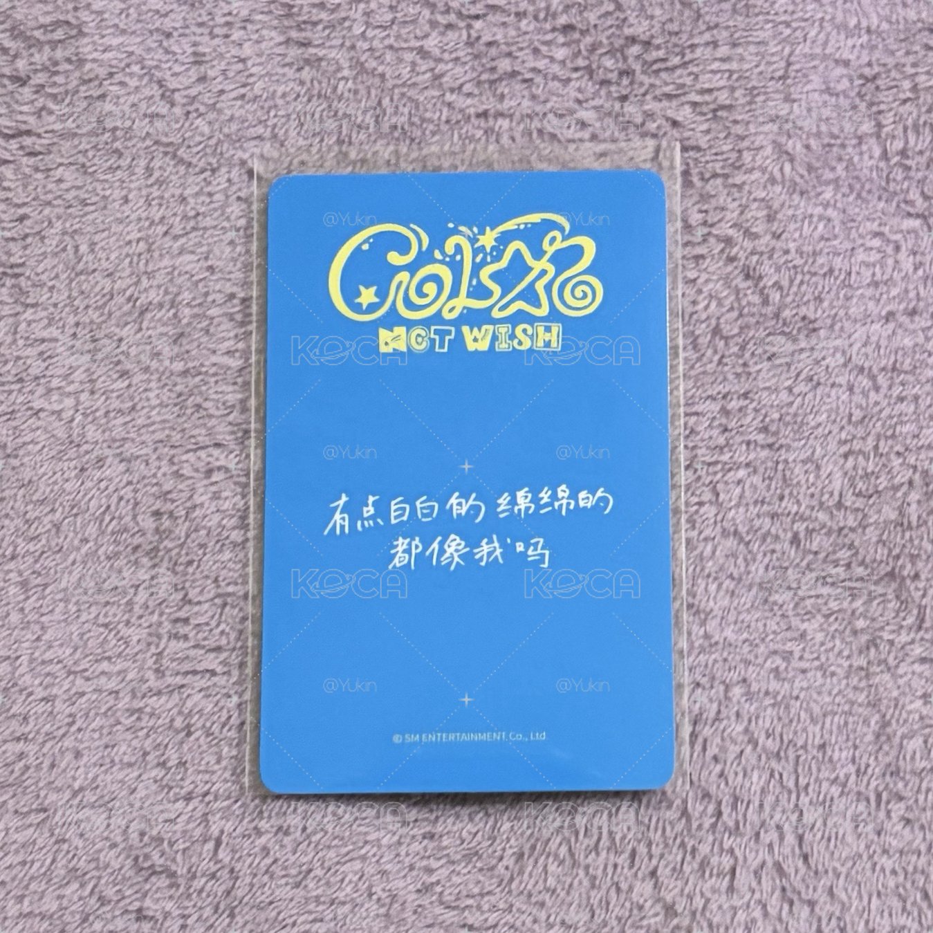yzy 勇志 中文卡背