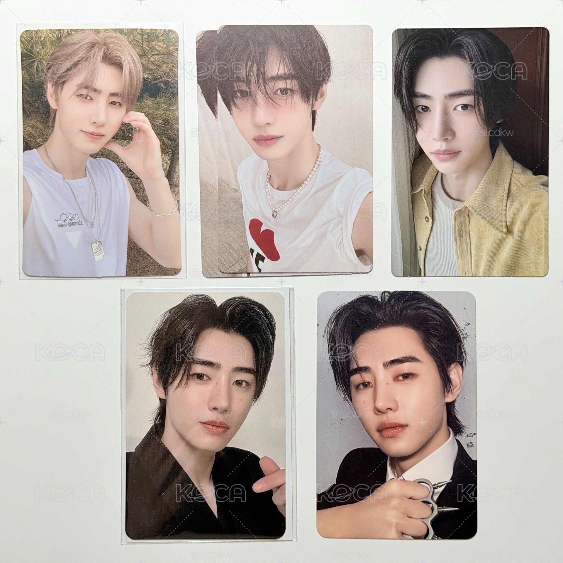 朴成訓 🐩 小卡 出清