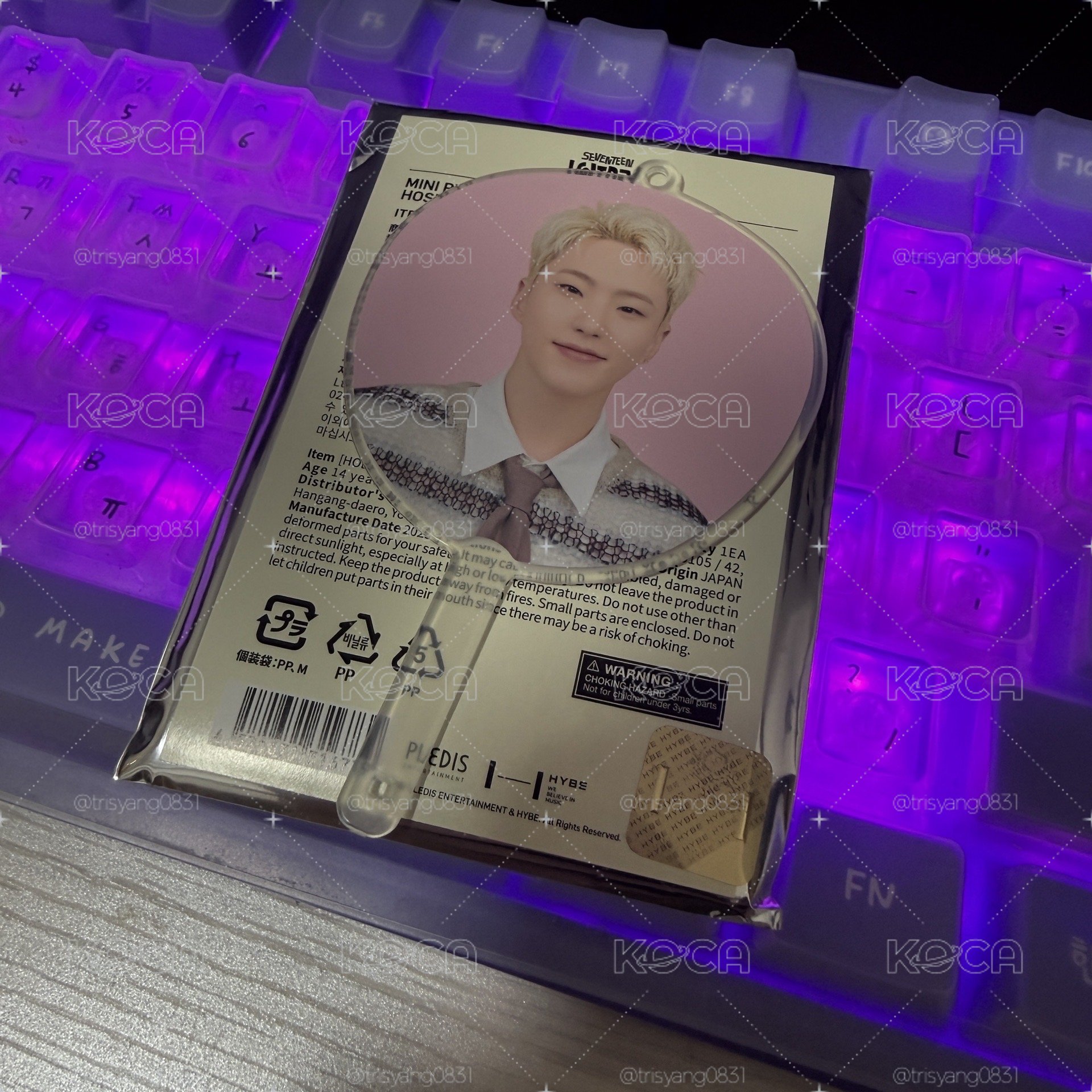 hoshi  holiday 小扇