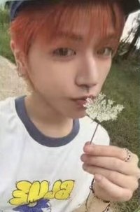 芝加哥 回憶錄 周邊卡 