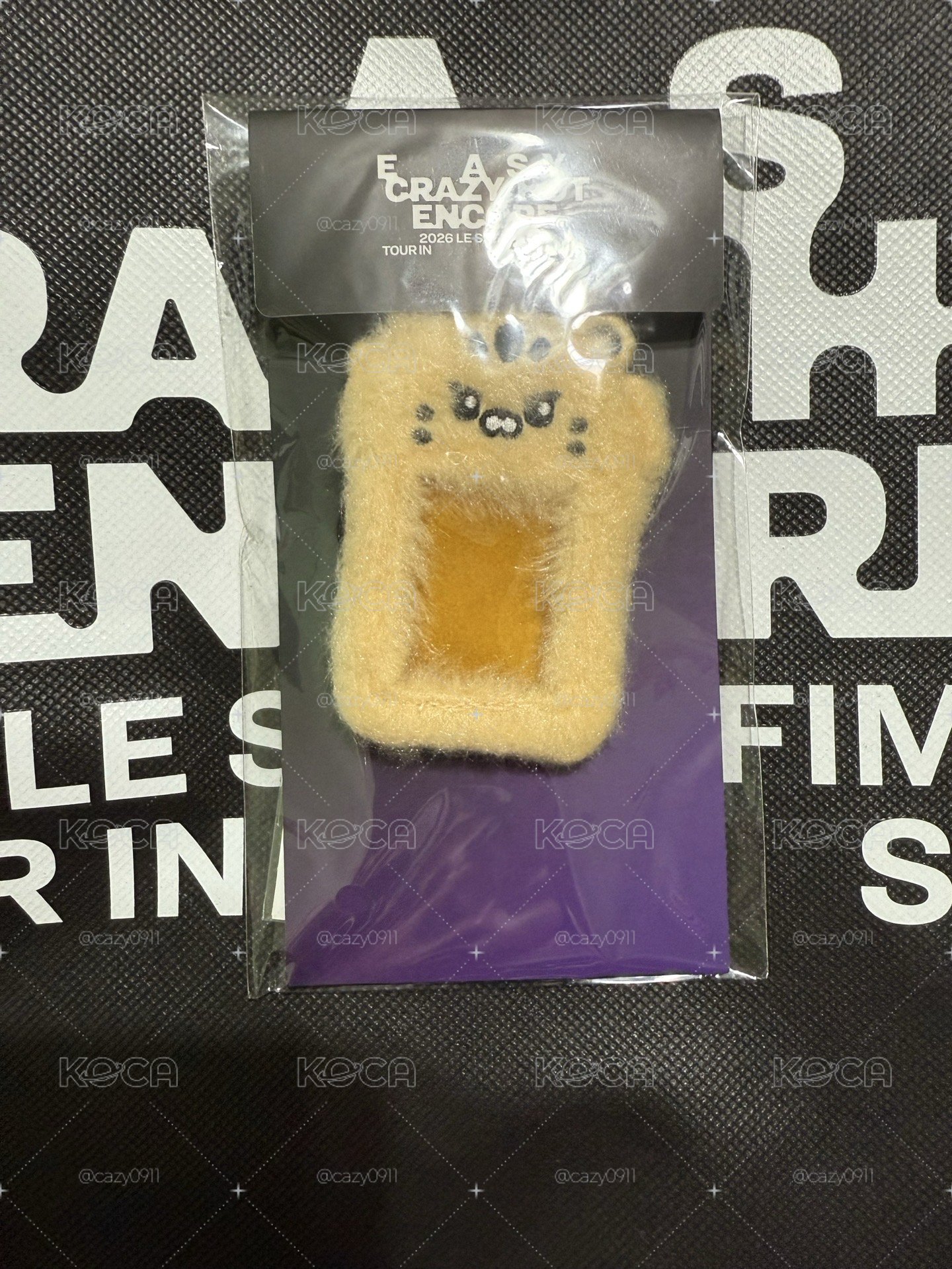 25‘巡迴 首爾安可 卡套 (組) 毛絨證件照套 FIM'S CLUB Mini Photo Holder