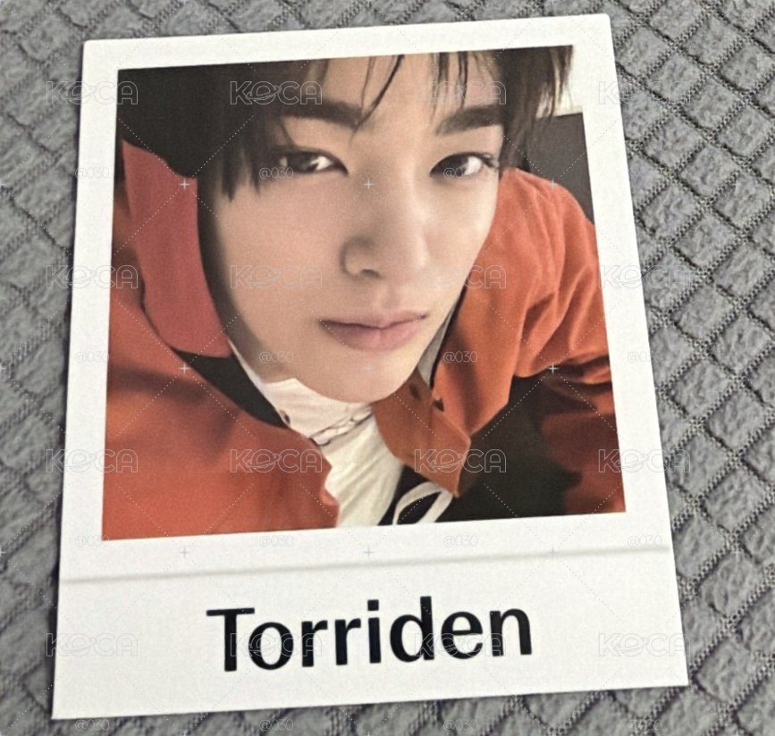 Torriden萌萌鎬