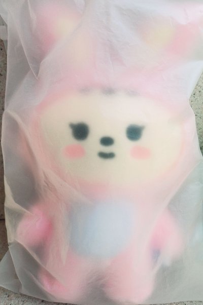 [現貨]淨漢 Miniteen 站娃 兔鼠