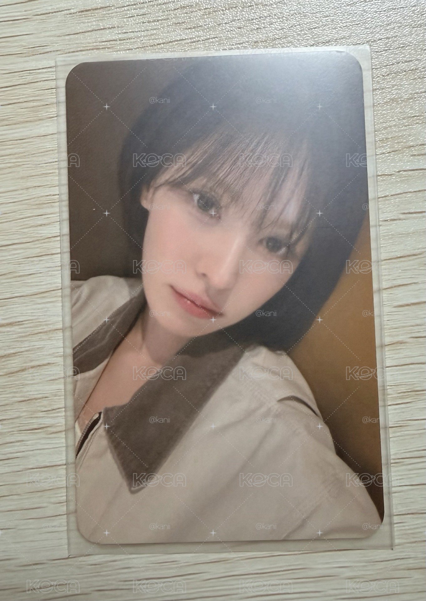 wendy櫻花季小卡