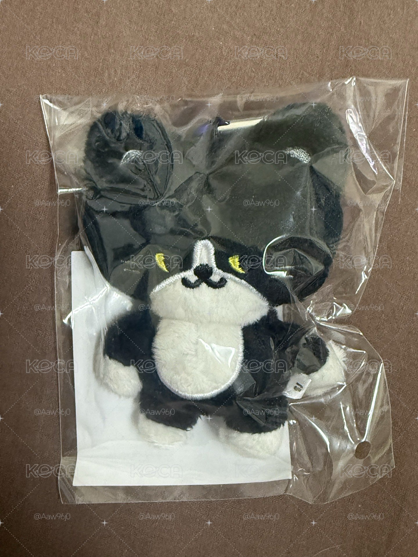 （免綁）SJ日周娃 雲貓 coco貓