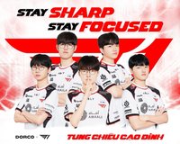 T1 x DORCO