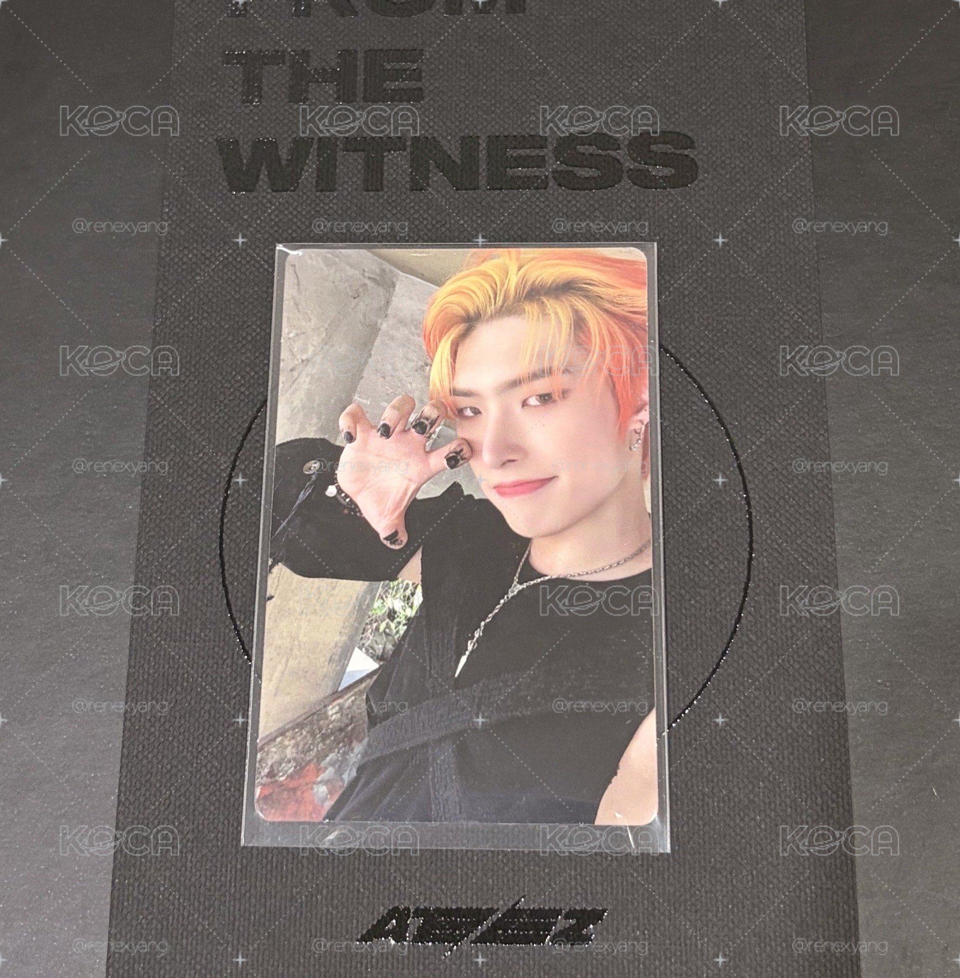 From the Witness 虎爪旼琦