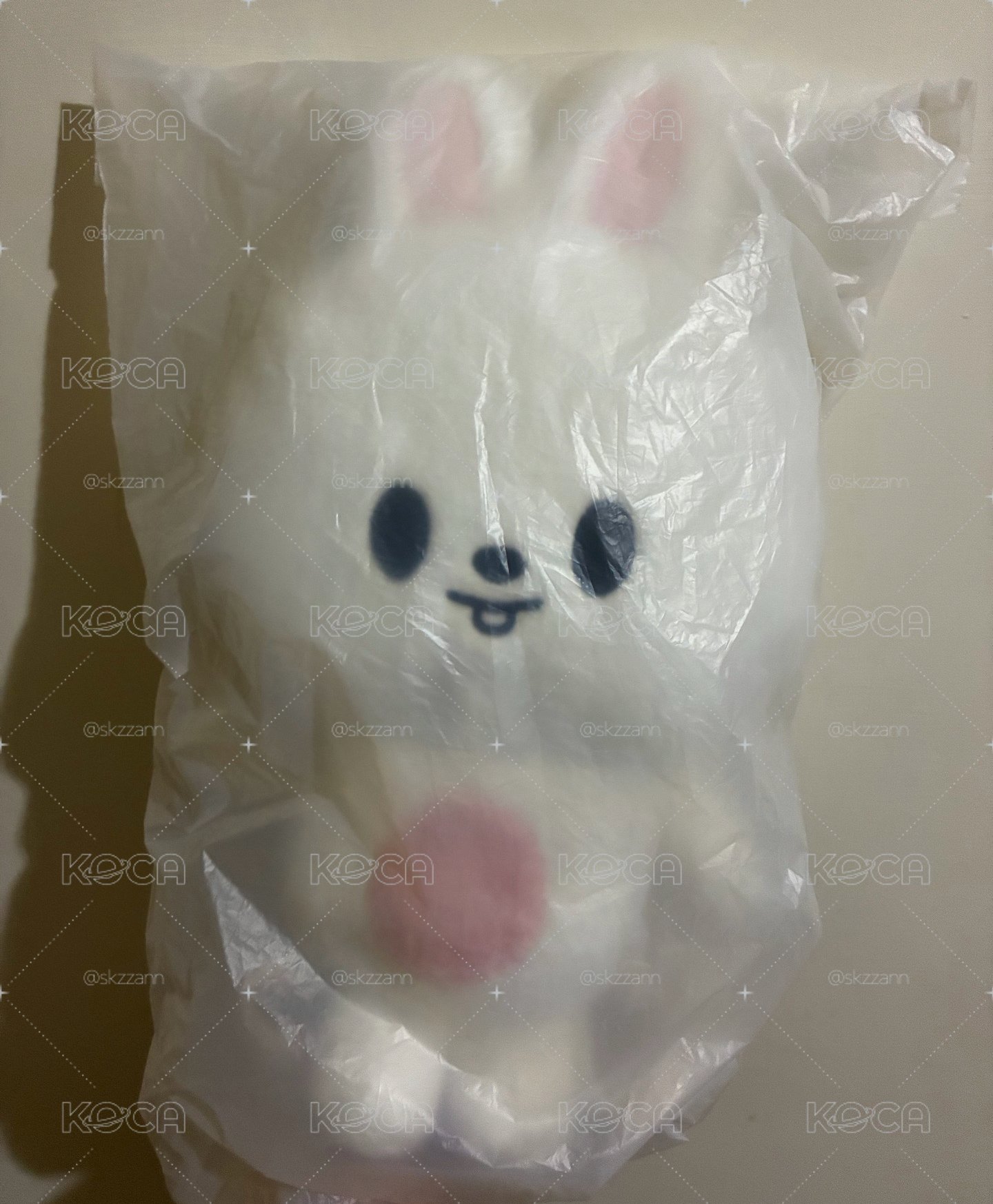 Stray Kids 6期飯咪 旻後背包 現貨