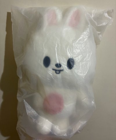Stray Kids 6期飯咪 旻後背包 現貨