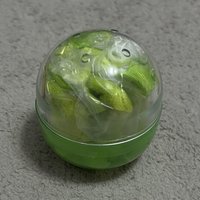 大眼蛙