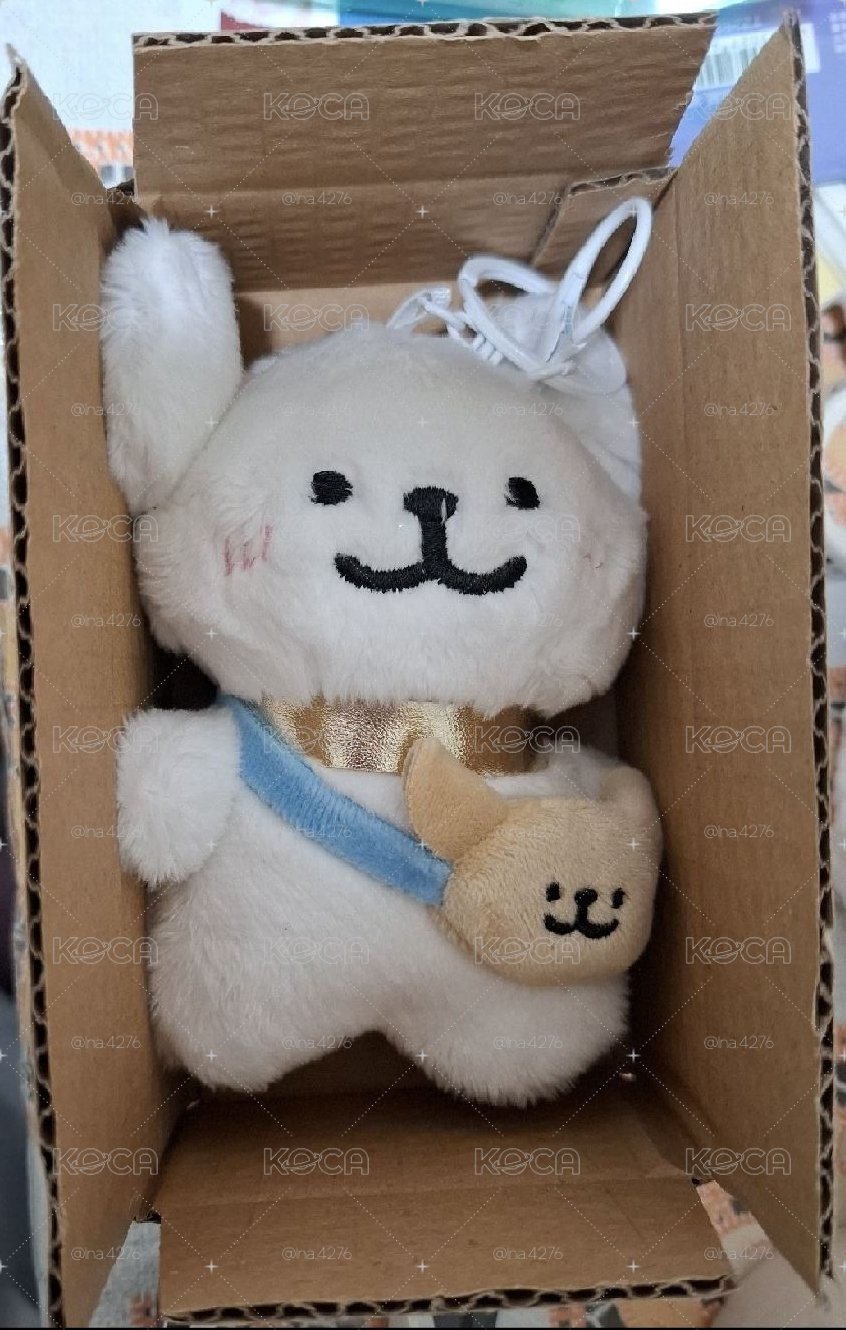 13 x 8 x 4.5 cm 小紙箱（可塞小卡盤和小娃）