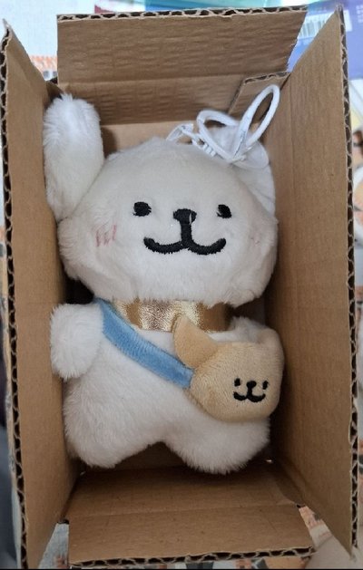 13 x 8 x 4.5 cm 小紙箱（可塞小卡盤和小娃）
