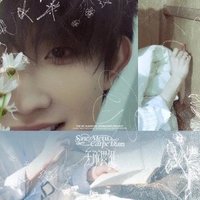 首張實體專輯《無所畏懼》 FEARLESS.VER 專輯 手辦款-蘇新皓版
