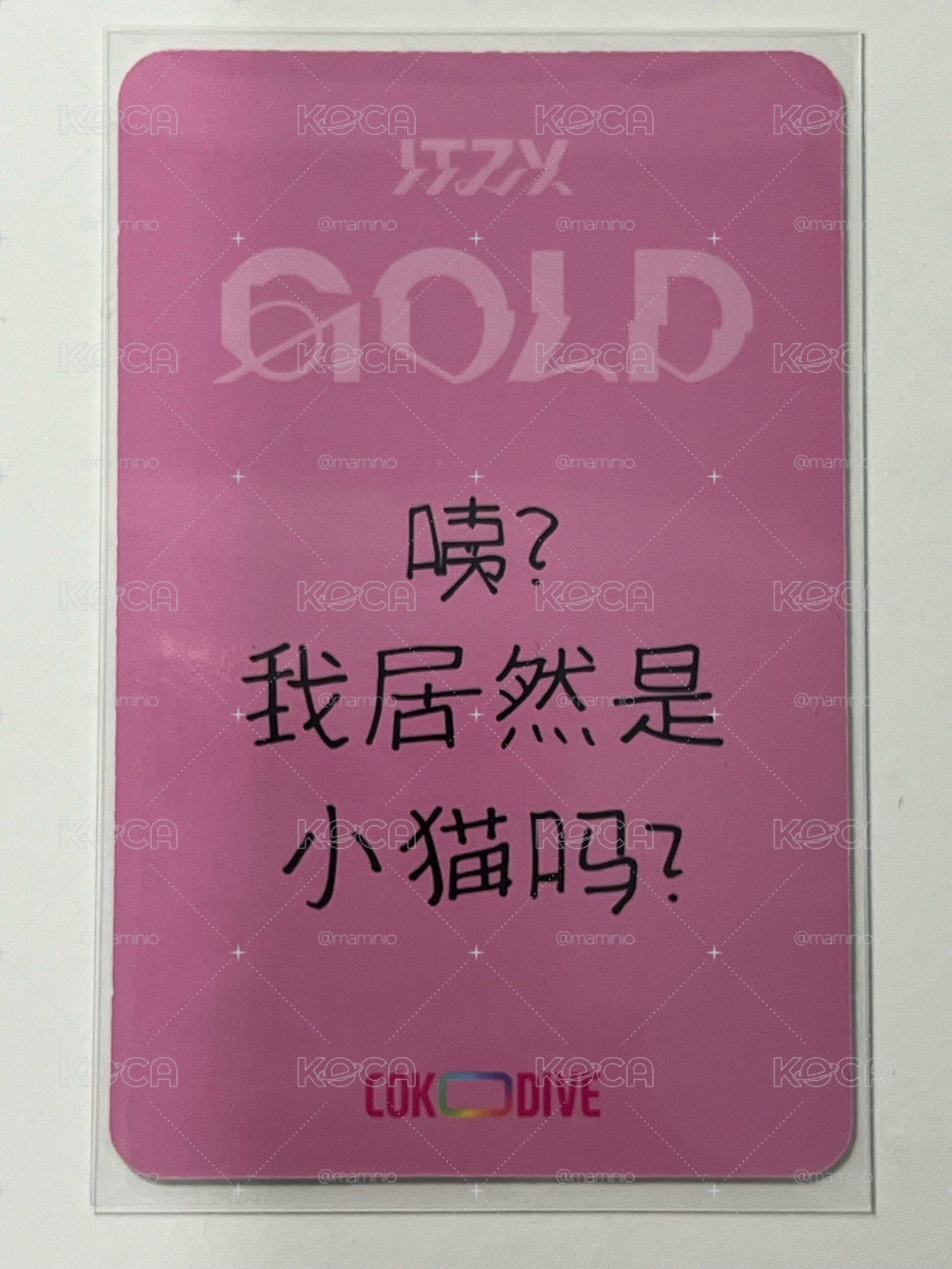 GOLD COKODIVE 簽售志