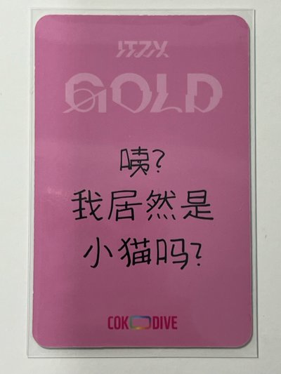 GOLD COKODIVE 簽售志