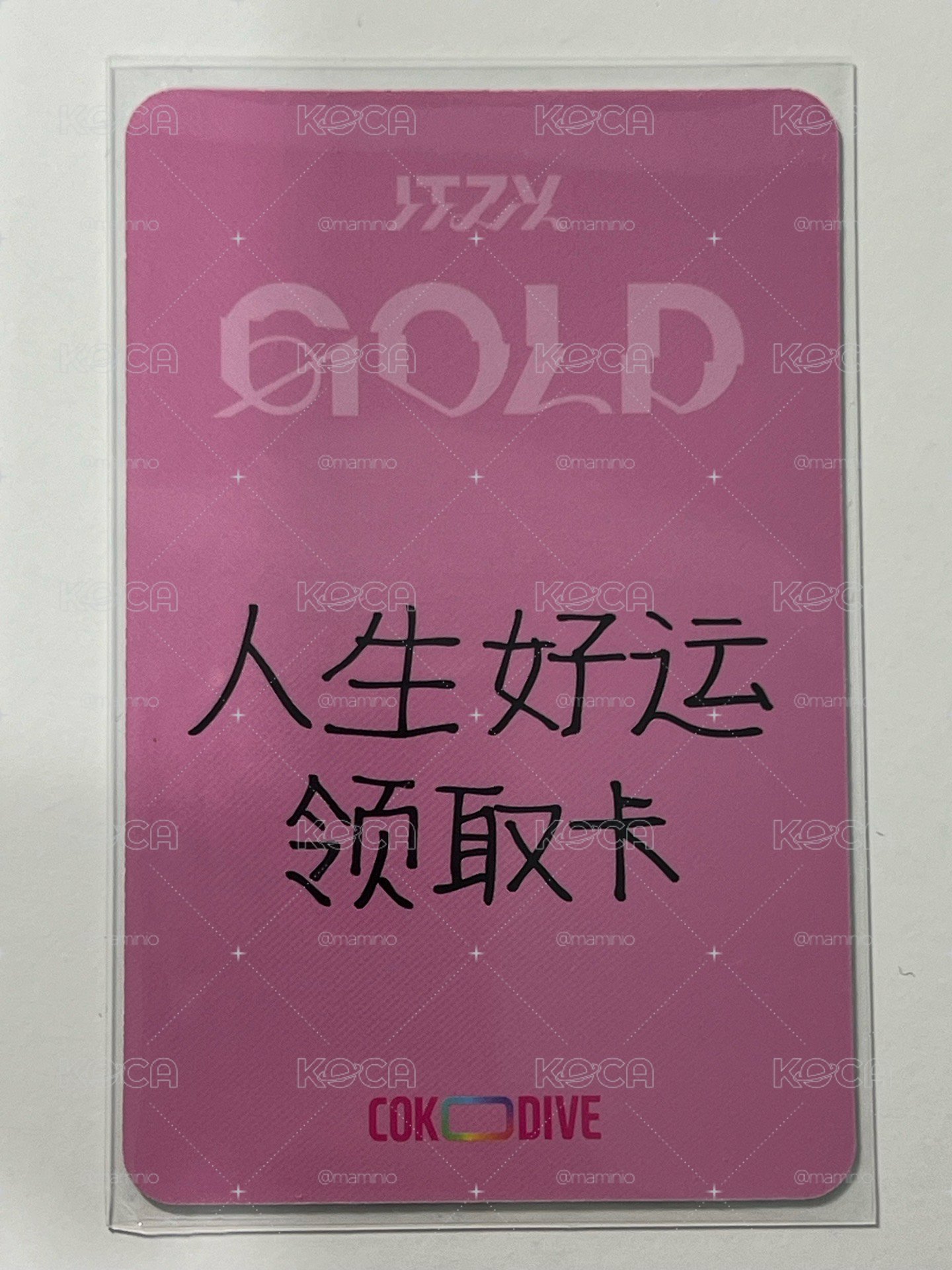 GOLD COKODIVE 簽售領