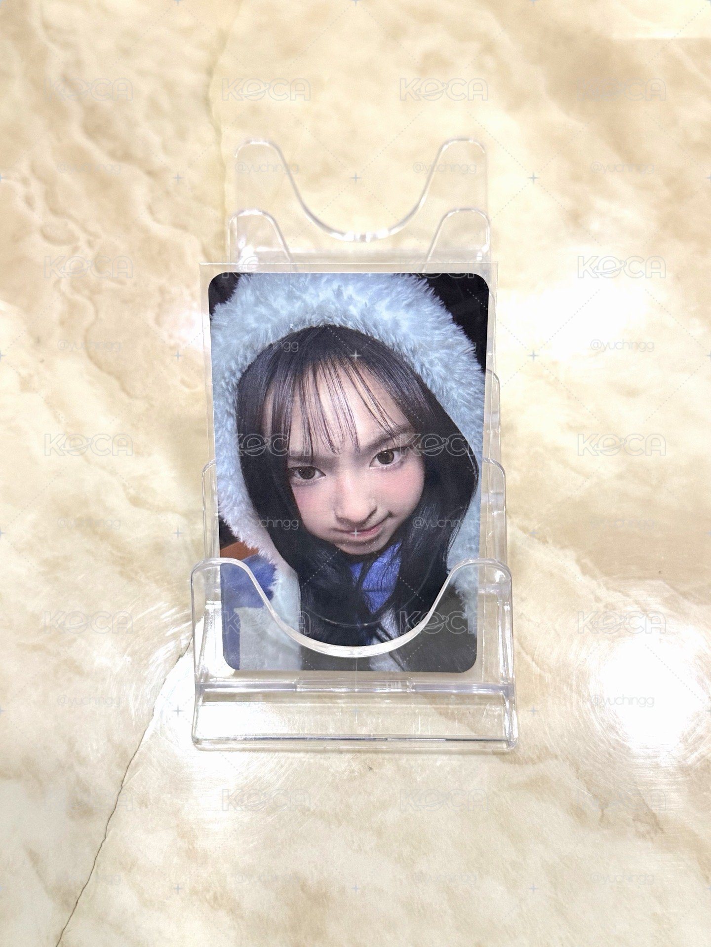 【現貨】柒 一週年 yg 春日特典 特典卡 c ver