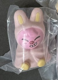 豬兔