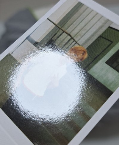 26年曆拍立得凡