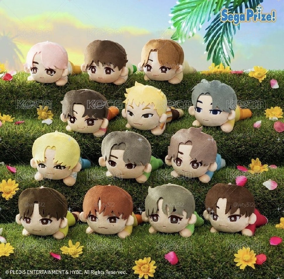 SEVENTEEN 趴娃