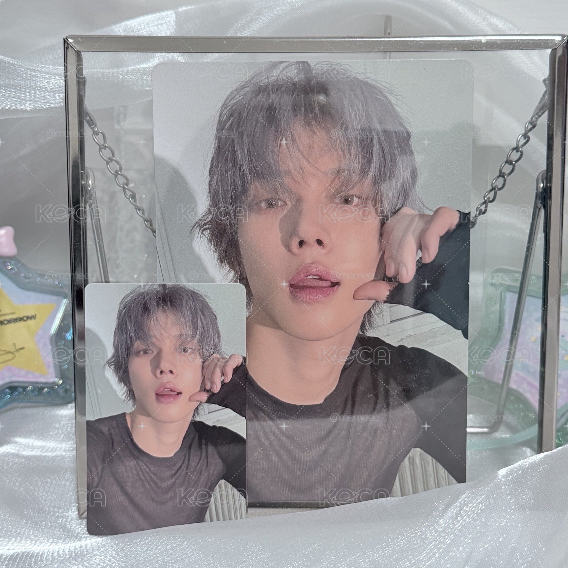 NO LABELS wvs 特典卡 含大卡