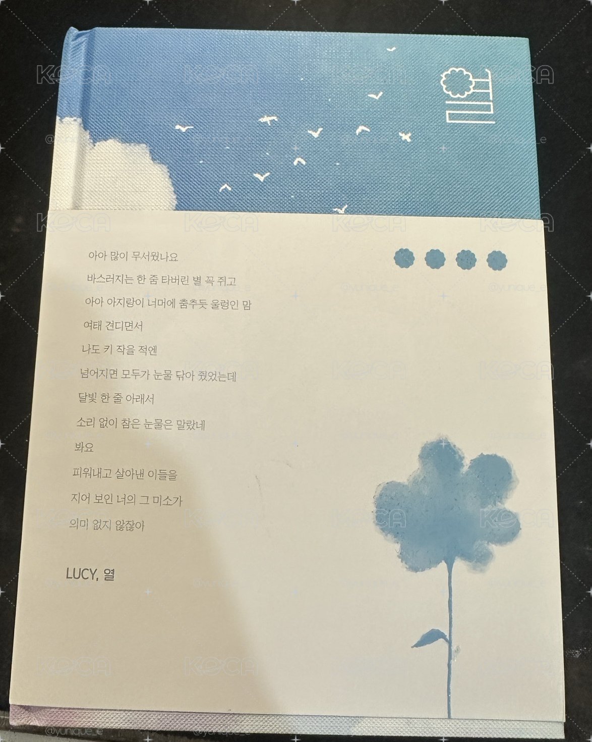Lucy 열 空專