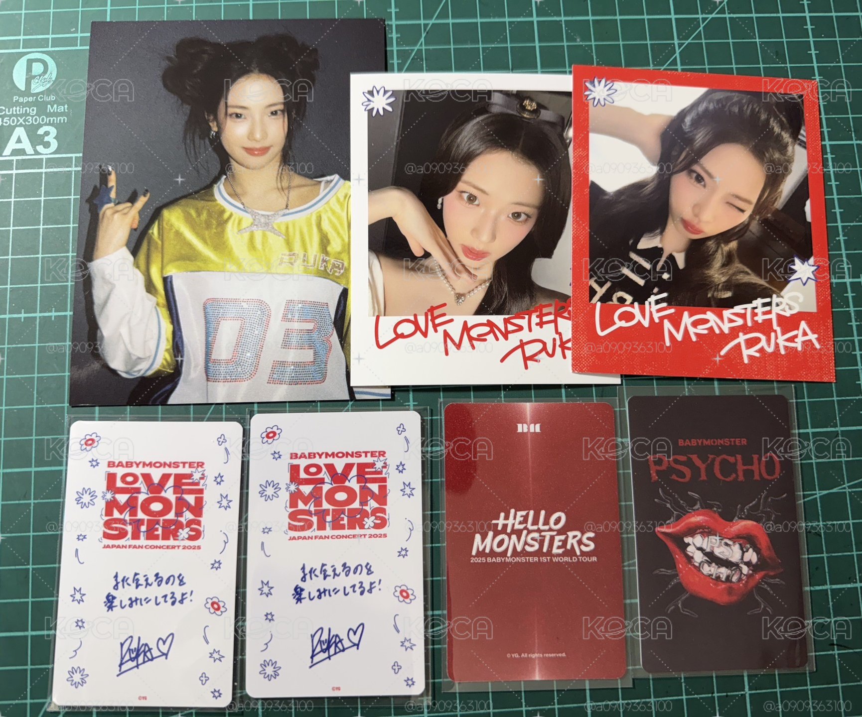 整圖出 露 Thanks monsters 回憶錄明信片世巡卡包