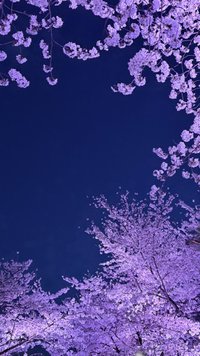 minna