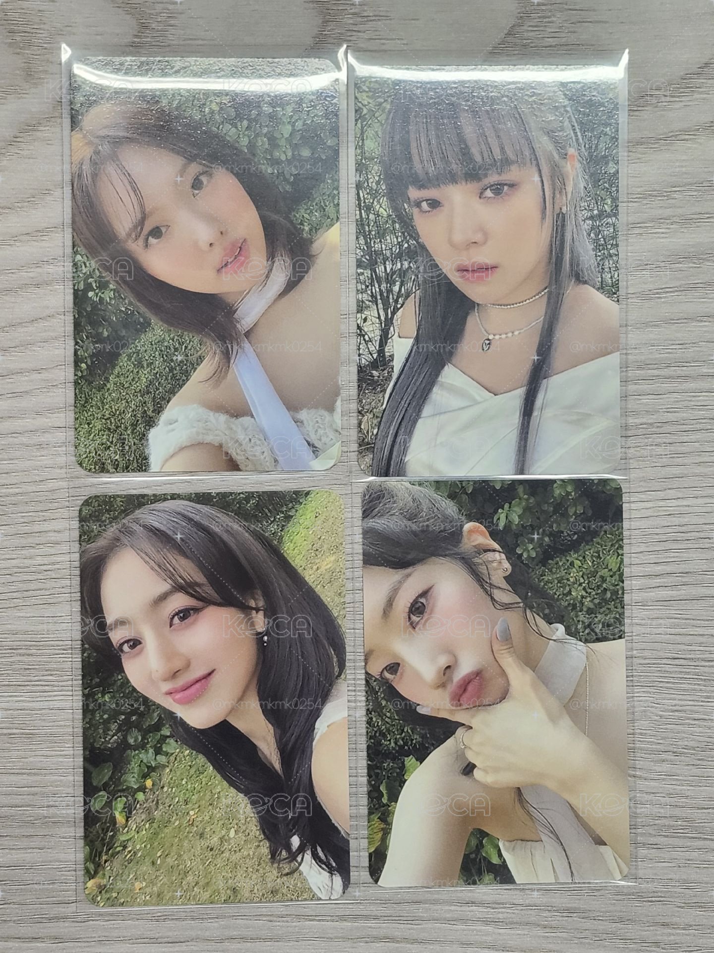 娜定效多🐰🐶🦄🦅