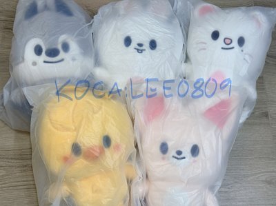 全新現貨 含一套滿額卡 Stray Kids 6th FM 娃娃後背包