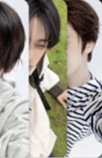 迷五 711 特典卡 