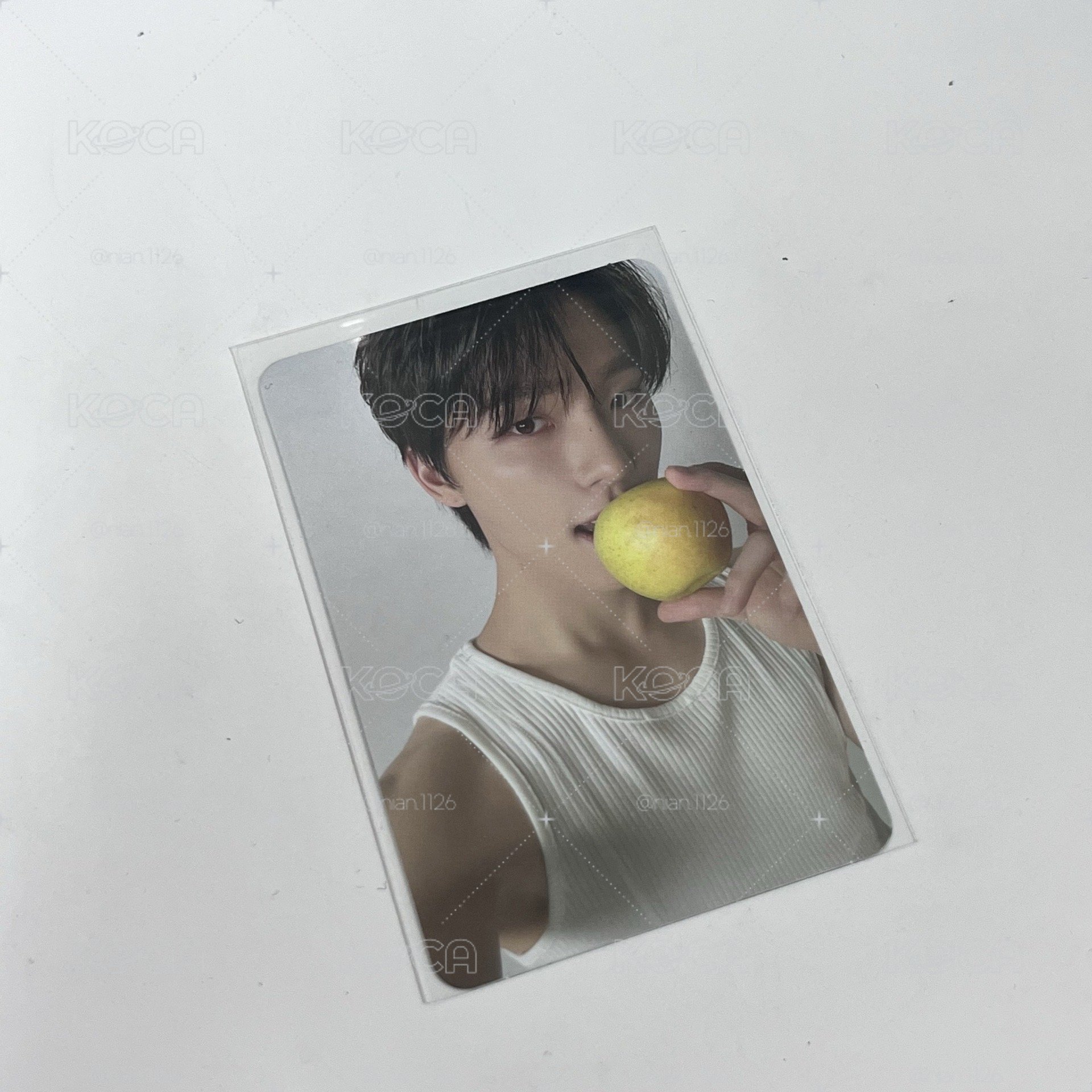 SEVENTEEN DINO精選專 專輯卡 CARAT ver.