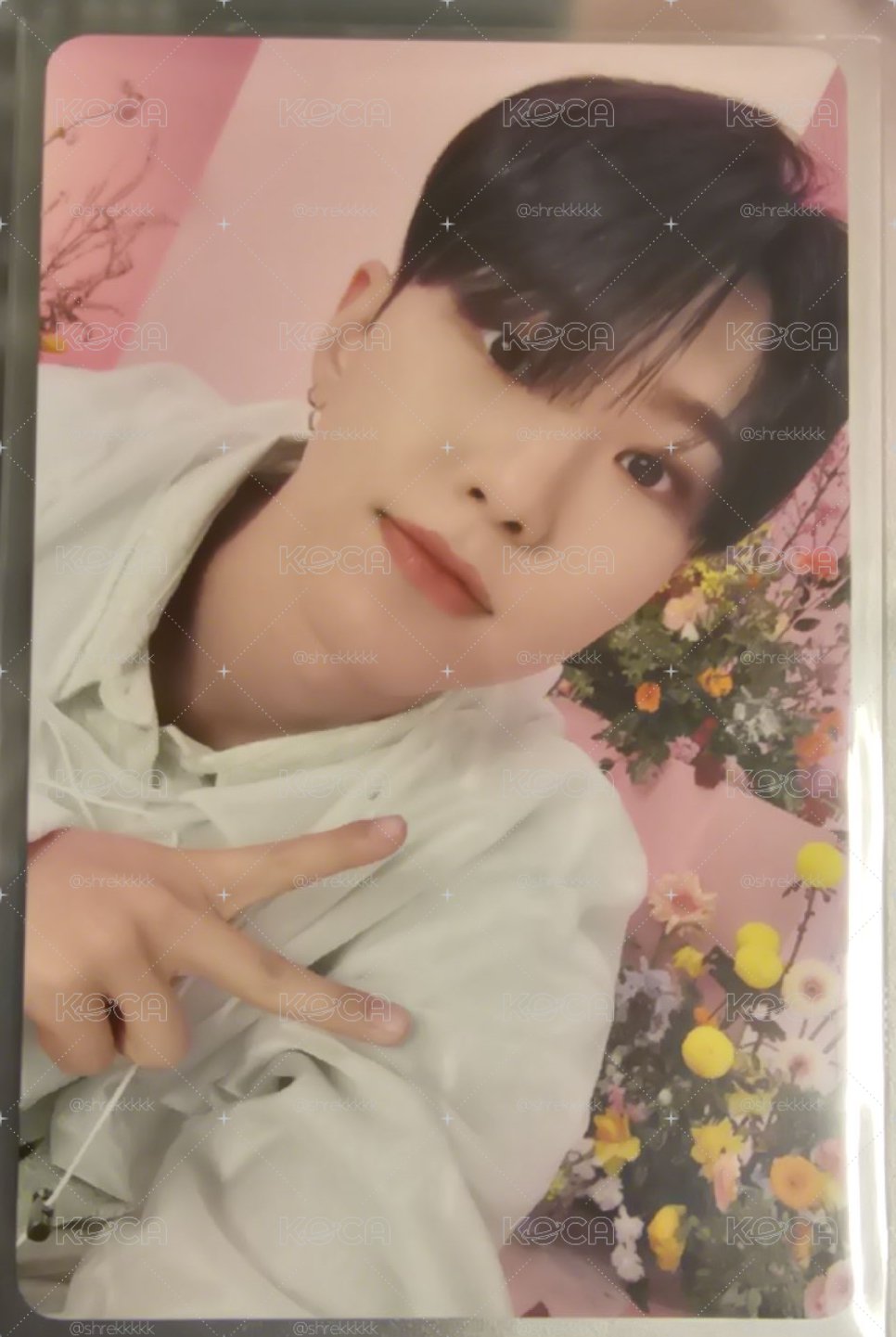 Seventeen HOSHI 日專 專輯卡