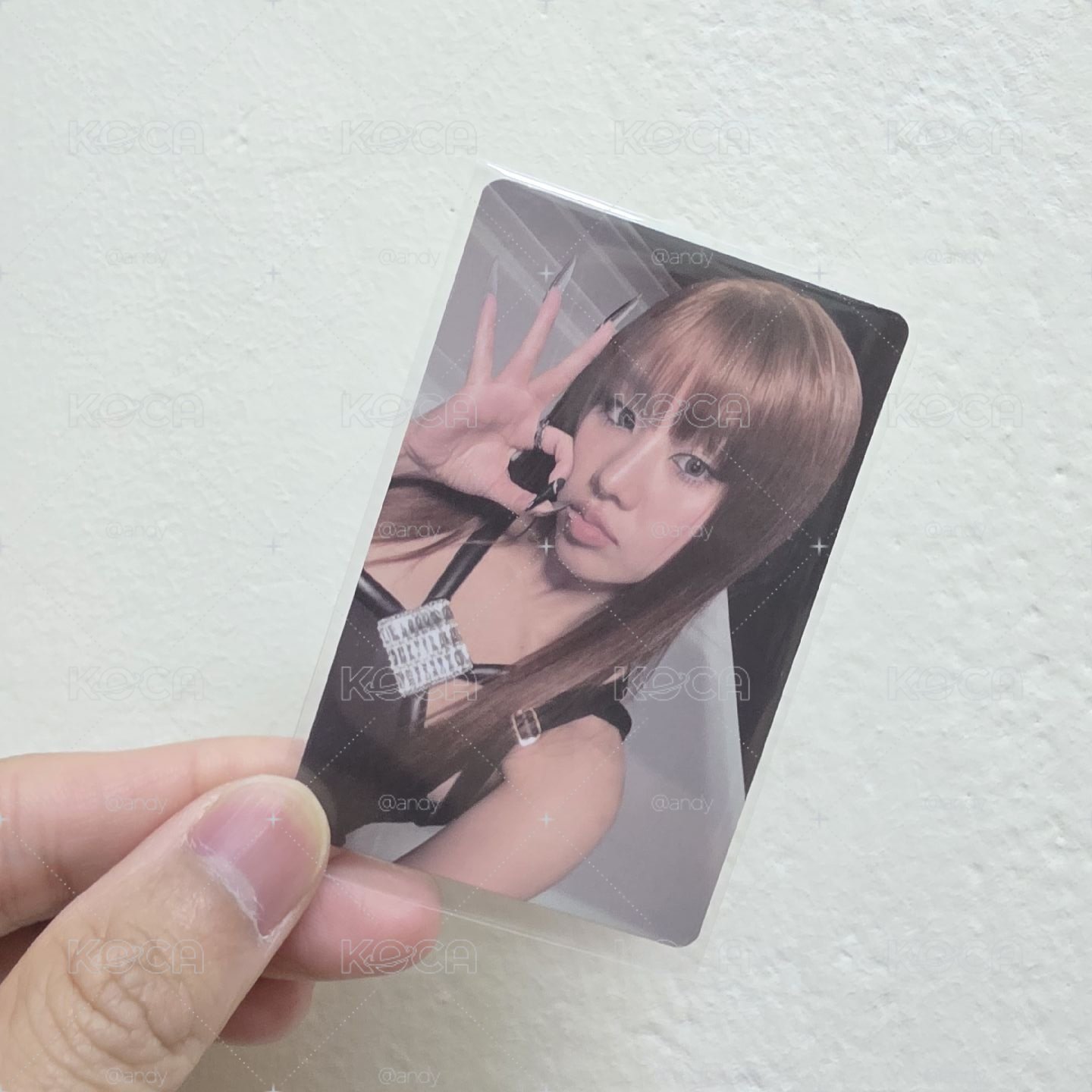 224專卡 Natty