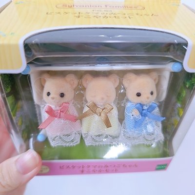 日本森林家族 三胞胎餅乾熊🐻