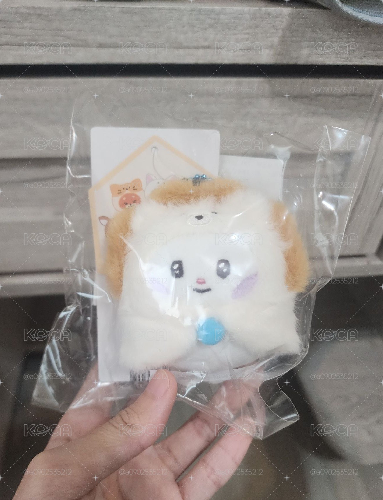 斗篷辰
