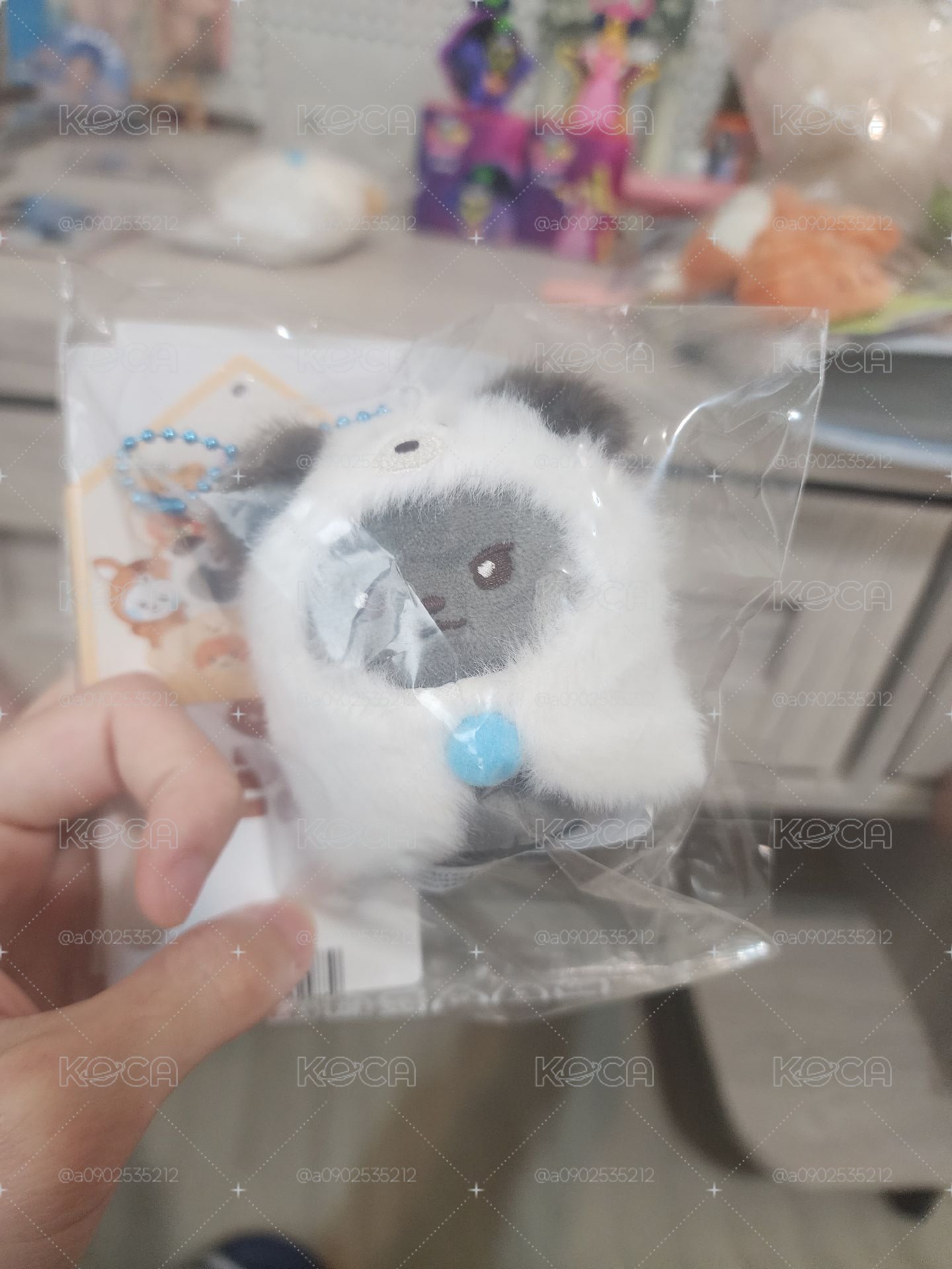 斗篷雄