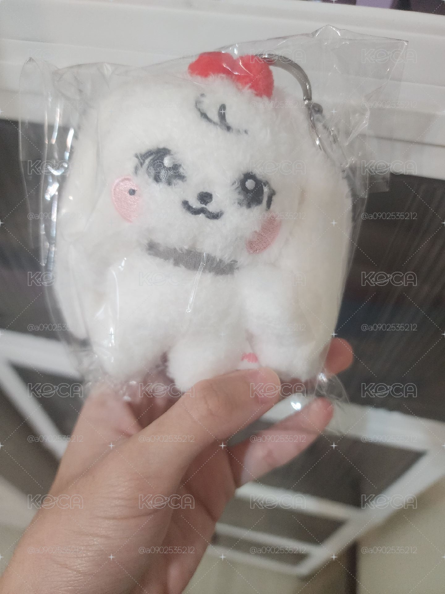 員10cm娃