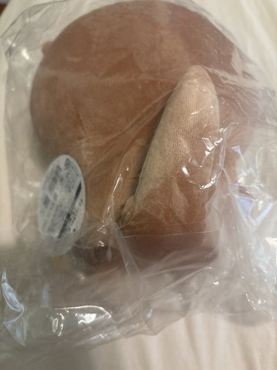 ナガノ 水獺抽賞C賞