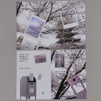 櫻花信箱